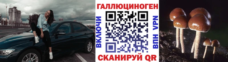 Псилоцибиновые грибы Psilocybe  мега зеркало  Ахтубинск 